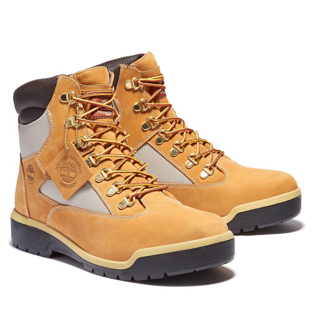 Bototos Timberland Hombre 6-Inch Waterproof Field Marrones/Negras - Chile CDG-269014